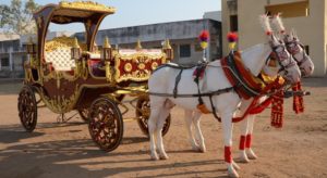 wedding baggi price in hyderabad