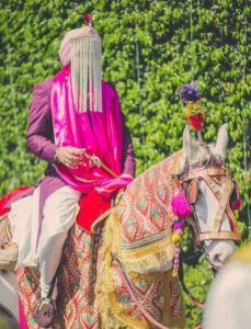 Wedding Horse