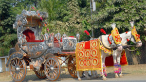 wedding baggi on rent