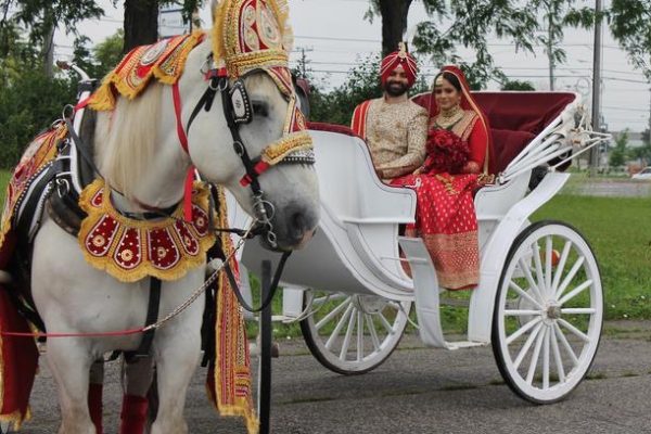 horse cart for marriage