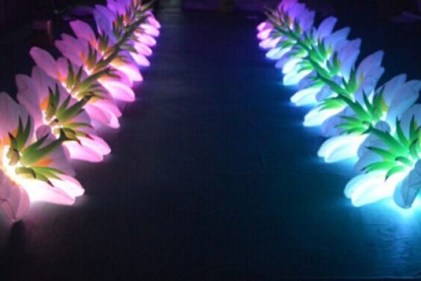 Lighting Decorators Lighting Decorators