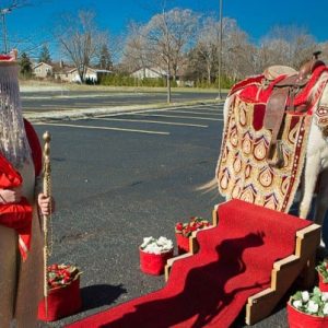 wedding horse